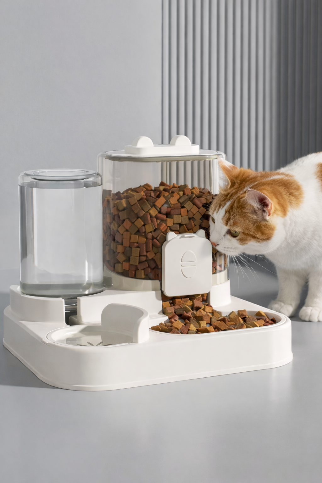 Feeding & Mealtime Essentials